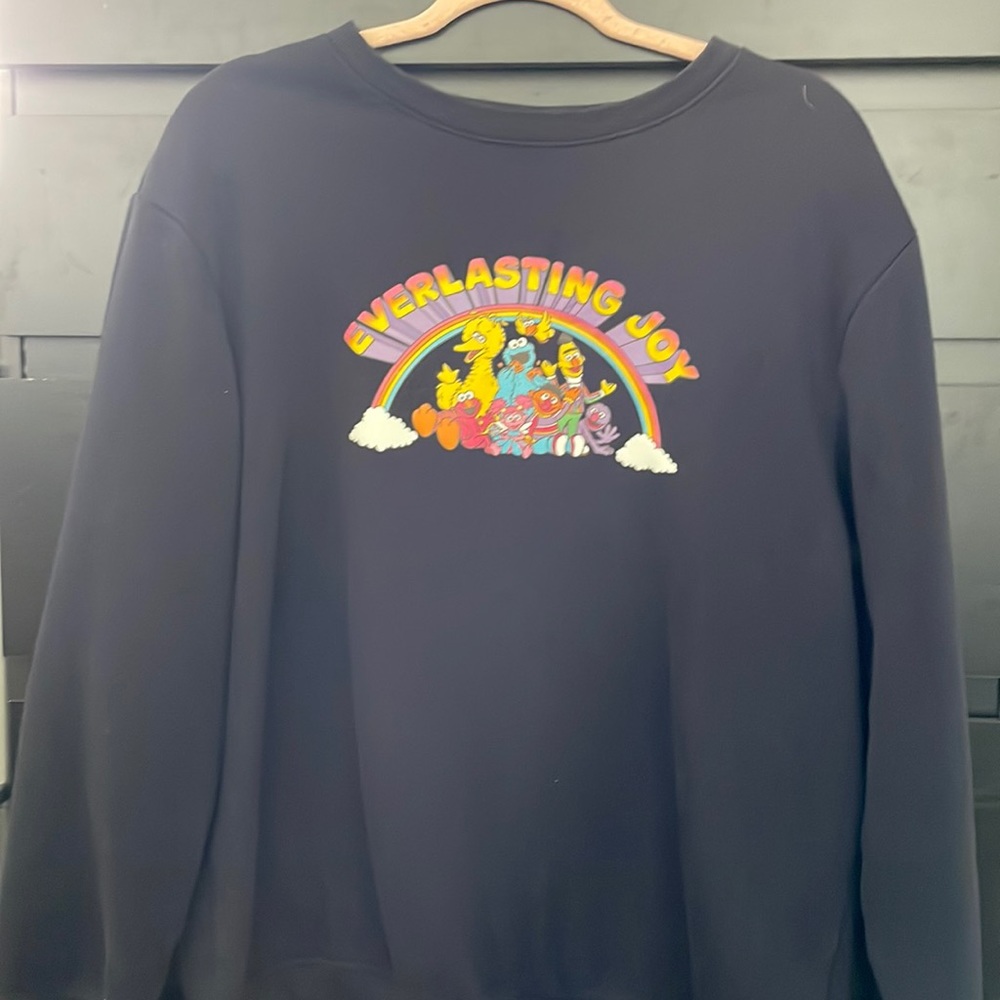 Sesame Street “ Everlasting Joy “ Crewneck Sweater